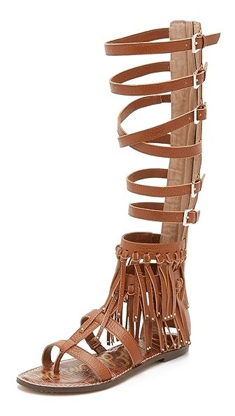 Gardenia Tall Gladiator Sandals | Shopbop