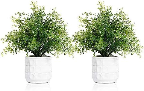 NEW RUICHENG Artificial Plants, Plant Artificial Plastic Plant Flowers Real Green Mini Fake Plant... | Amazon (US)