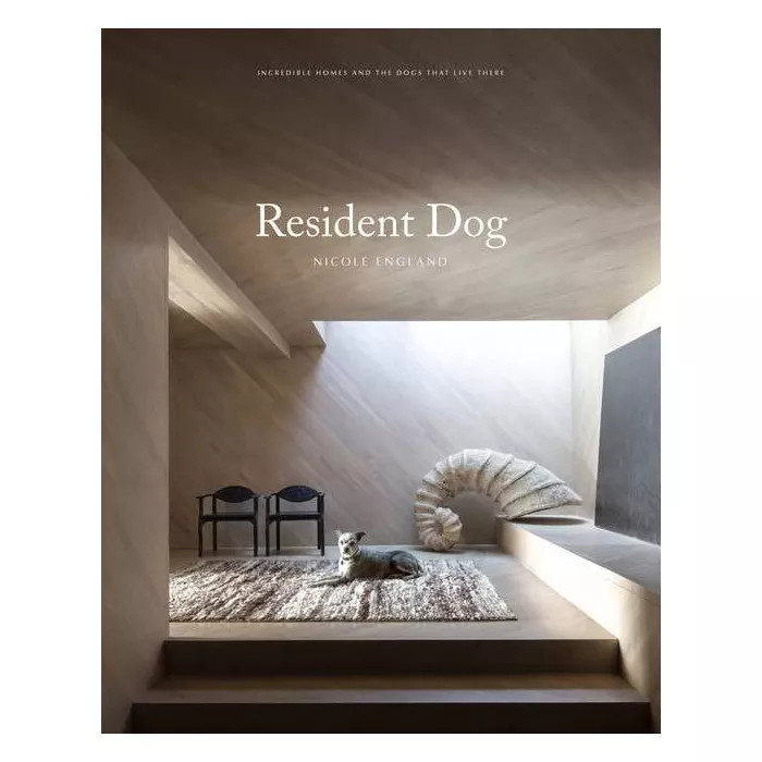 Resident Dog (Volume Two) - by  Nicole England (Hardcover) | Target