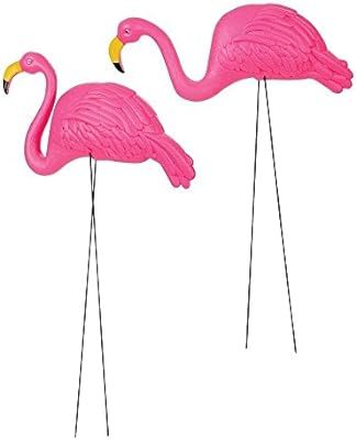 Globe in Colors TM Set of 2 Beautiful Tall Pink Flamingo 3-Dimensional Yard & Garden Ornament W/4... | Amazon (US)