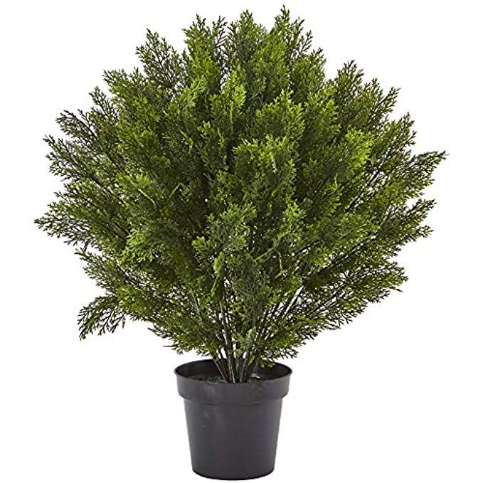 Nearly Natural 6881 3' (Indoor/Outdoor) Cedar Artificial Bush | Amazon (US)