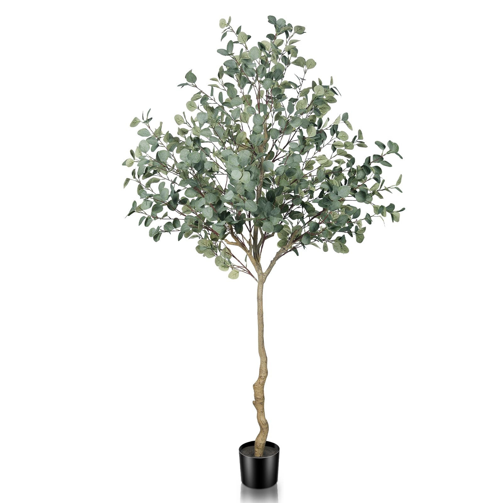 Eucalyptus Tree Artificial 7ft - Faux Eucalyptus Tree in Plastic Nursery Pot with 995 Silver Doll... | Amazon (US)