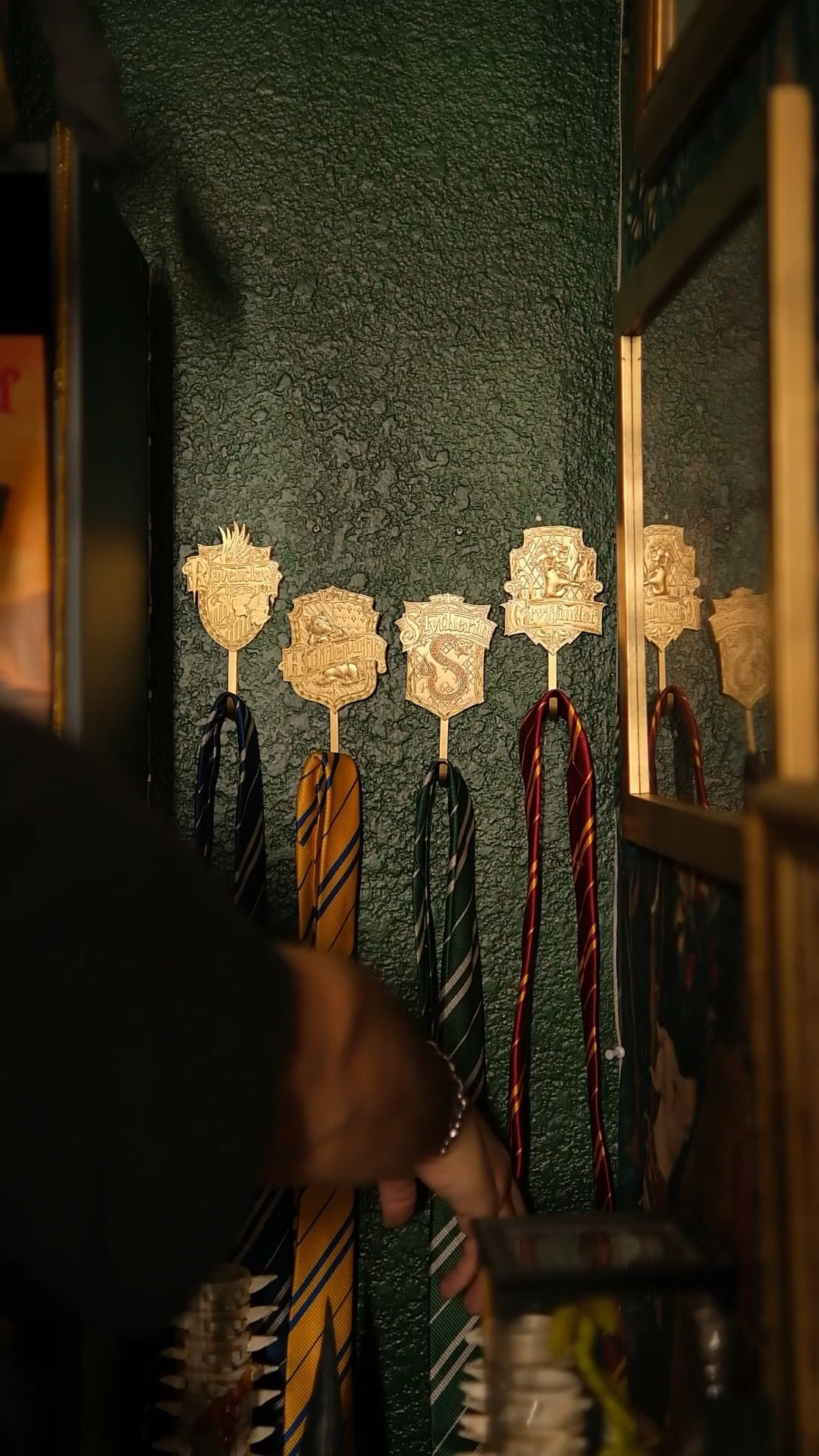 Harry Potter house hooks 