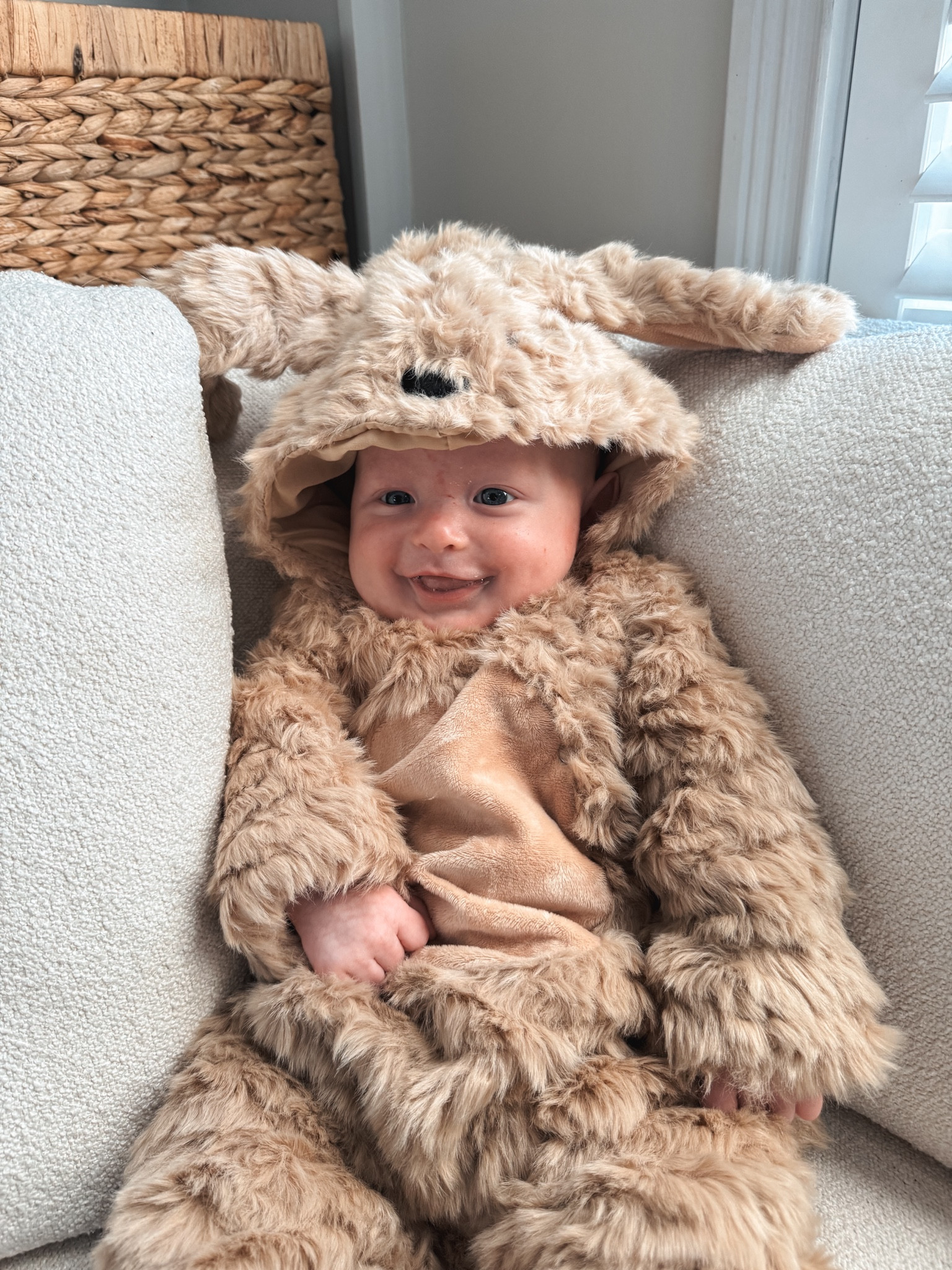 Baby boy Halloween costume this fluffy dog costume from pottery barn is the cutest! 



#LTKHalloween #LTKBaby #LTKKids