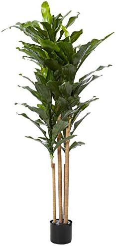 Nearly Natural 5ft. Dracaena Plant UV Resistant (Indoor/Outdoor) | Amazon (US)