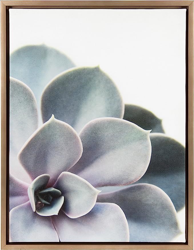 Kate and Laurel Sylvie Succulent Framed Canvas Wall Art by F2 Images, 18x24 Gold | Amazon (US)