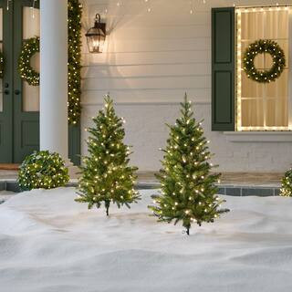 3 ft SMART Grand Duchess Balsam Fir LED Pre-Lit Trees - Set of 2 | The Home Depot