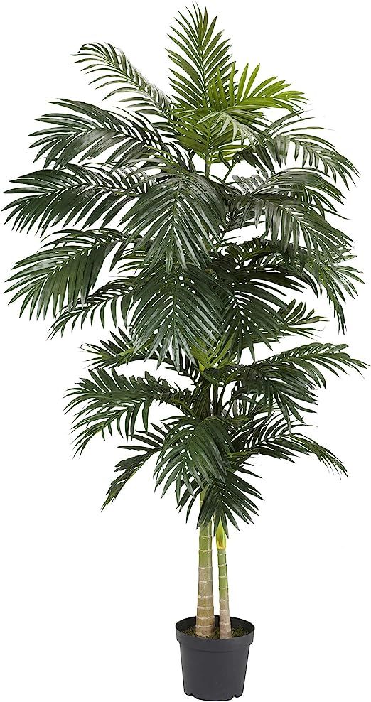 Nearly Natural 5326 8ft. Golden Cane Palm Silk Tree,Green | Amazon (US)