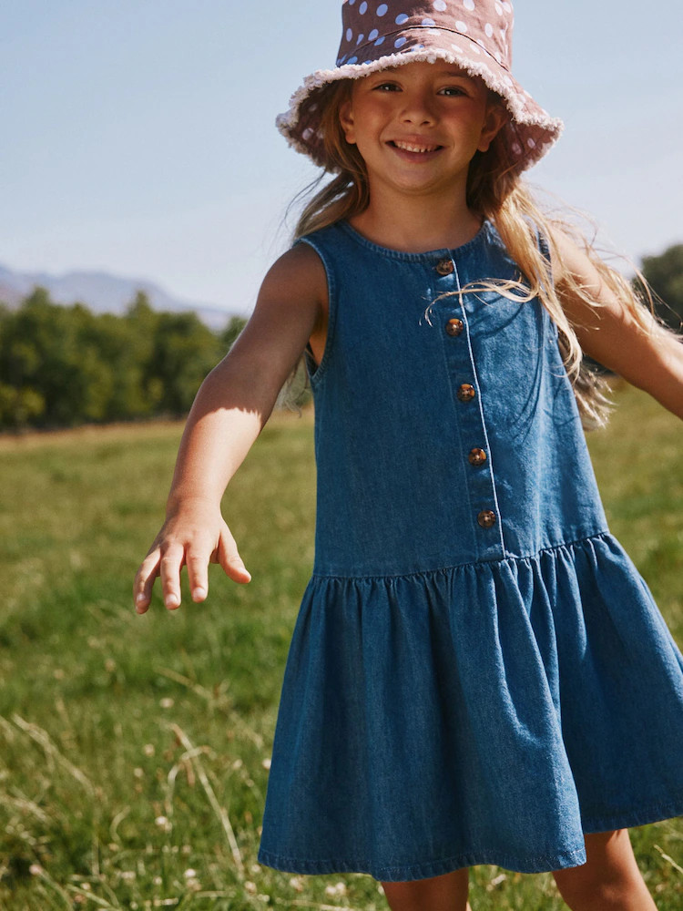 Blue Denim Drop Waist Button Through Dress (3-16yrs) | Next US