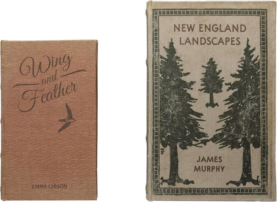 Creative Co-Op MDF & Canvas Book Storage Boxes, Set of 2 New England Landscapes | Amazon (US)