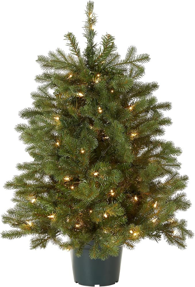 National Tree Company 3 ft Pre-Lit Hampton Spruce Mini Artificial Christmas Tree, 100 Clear Light... | Amazon (US)