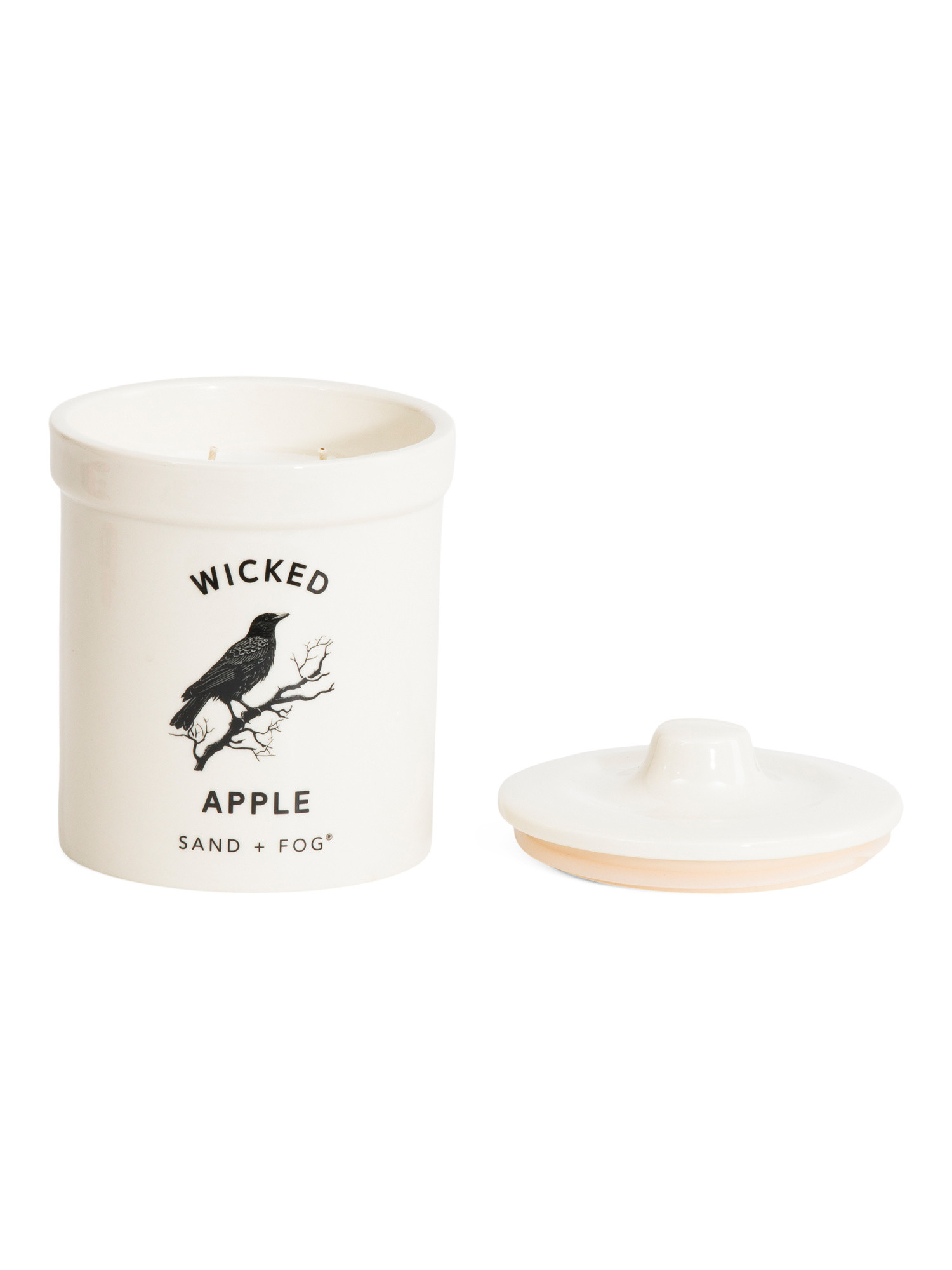 17.5oz Raven Apple Scented Candle | TJ Maxx