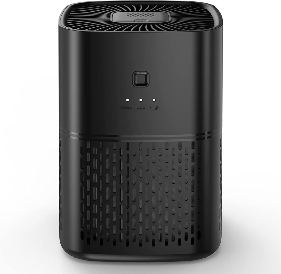 Air Purifiers for Bedroom, Home, Pets, H13 Hepa Air Purifier, Air Cleaner with 3 Speeds, Fragranc... | Amazon (US)