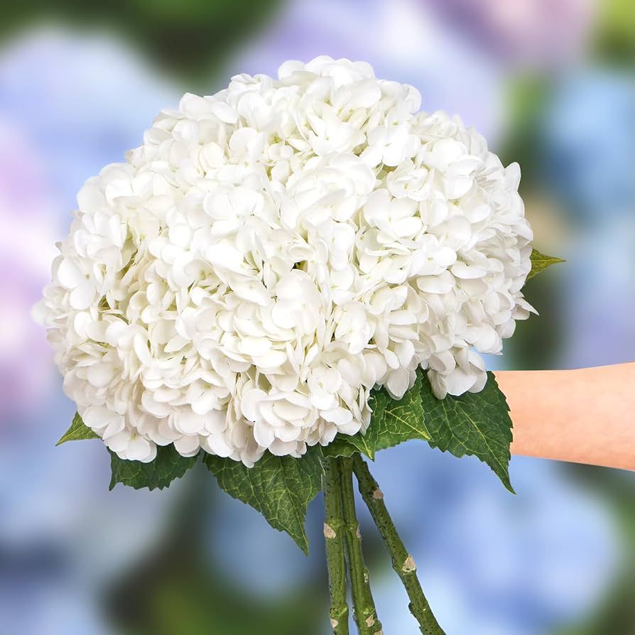 Dolicer 21'' White Artificial Latex Hydrangea Flowers, 3 Pcs Real Touch Faux Hydrangea Flowers wi... | Amazon (US)