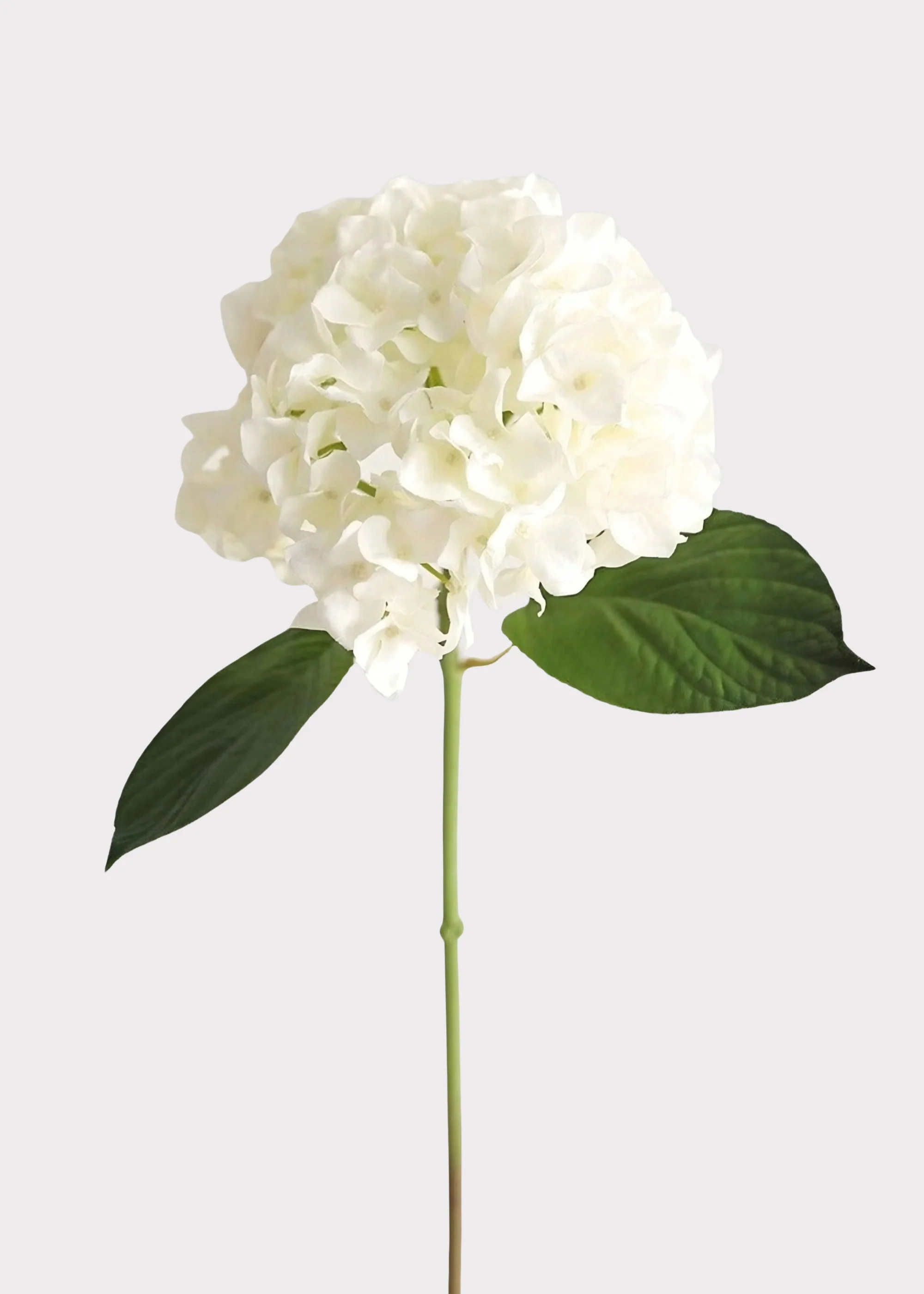 Faux White Hydrangea | Real Touch Hydrangeas & Flowers at Afloral.com | Afloral