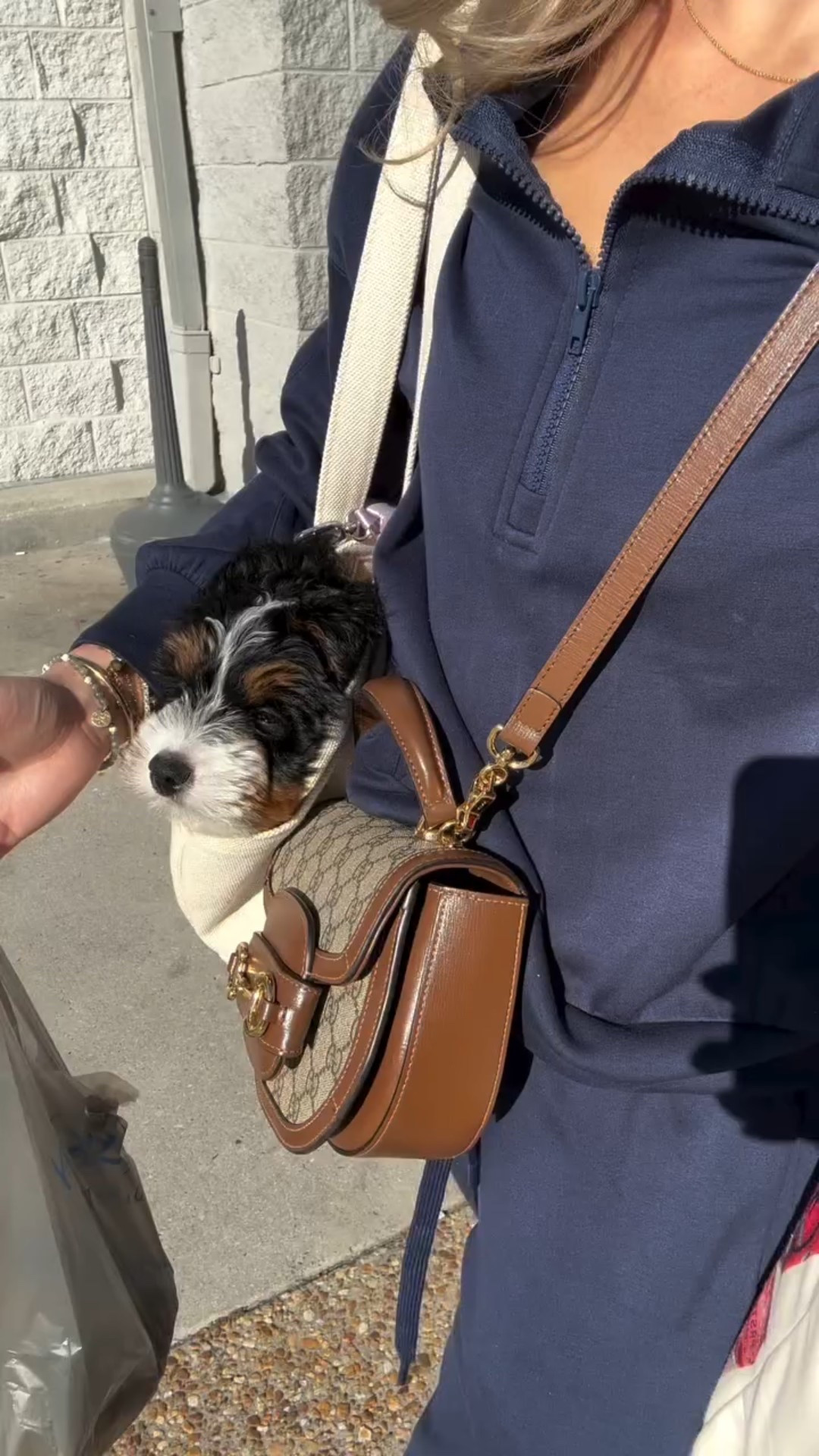suddenly errands aren’t so awful @impenelopethebernedoodle

#LTKdayinmylife #LTKootd #LTKmorningroutine