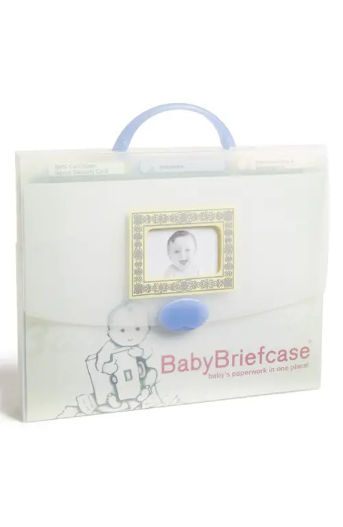 BabyBriefcase® Document Organizer in None at Nordstrom | Nordstrom