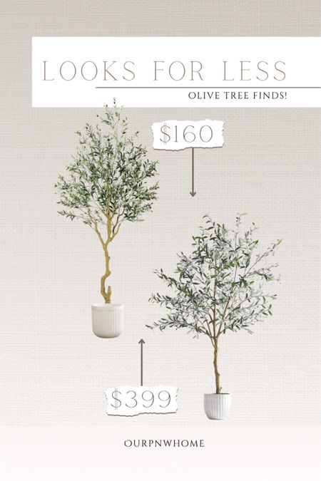 Looks for less! Save on these faux olive tree finds!

Faux tree, spring decor, white planter pot, fluted planter, spring home, save vs splurge, budget home finds

#LTKstyletip #LTKhome #LTKSeasonal