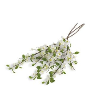 White Quince Stem, Set of Three | Grandin Road