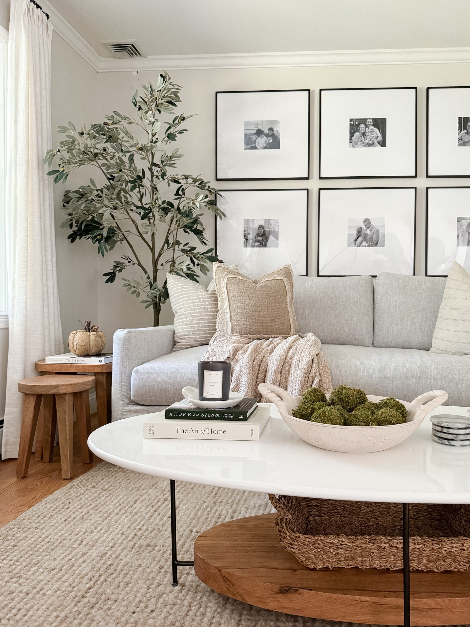 Coastal living room, Walmart home decor, coffee table, spring home decor, console table, Pottery Barn rug, faux tree

#LTKhome #LTKfindsunder100 #LTKstyletip