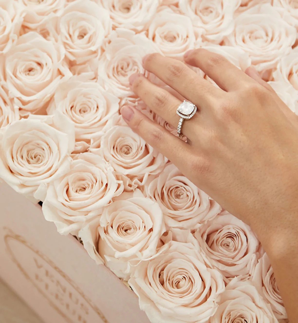 Classic Collection - White Classic Small Heart with Eternity Roses | Venus ET Fleur