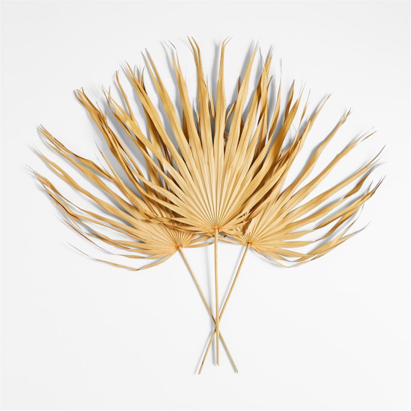 Dried Palm Fronds, Set of 3 + Reviews | Crate & Barrel | Crate & Barrel