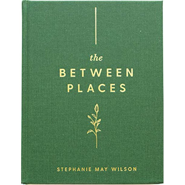 The Between Places: 100 days to trusting God when you dont know whats next, Pre-Owned (Hardcover)... | Walmart (US)