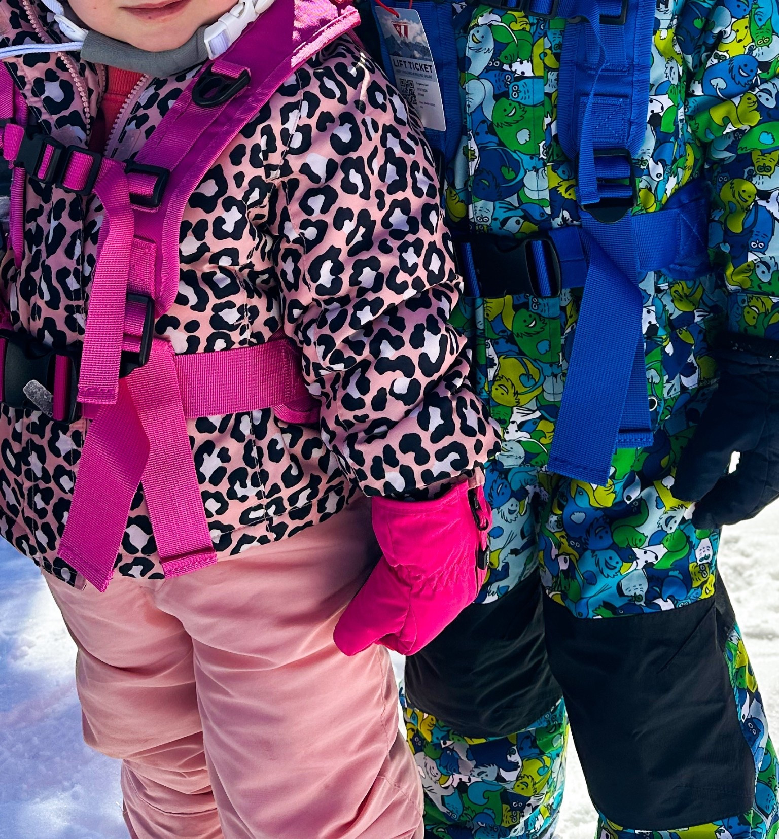 Kids Ski harness 10/10

#LTKKids #LTKTravel