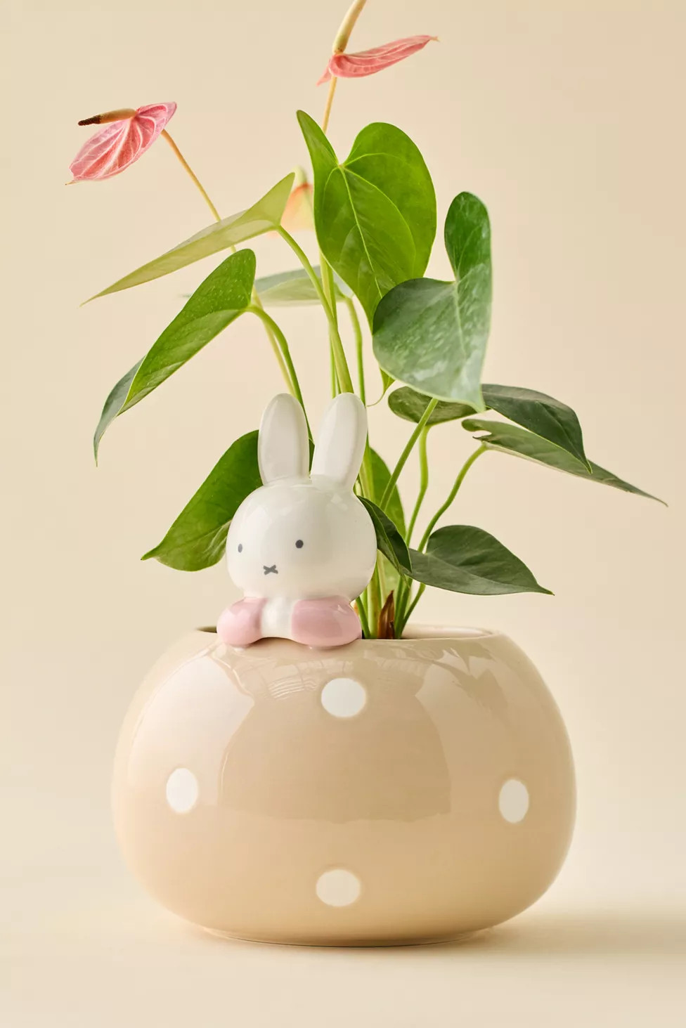 Miffy Peek-A-Bloom Beige Ceramic Planter | Urban Outfitters (US and RoW)