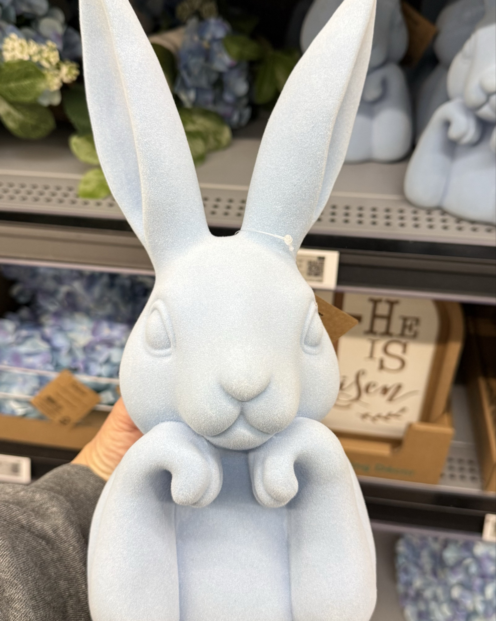 Viral Walmart Spring Decor Finds (Flocked Bunnies + Bunny Topiary)

RUN to Walmart for spring decor… or do what I’m doing and wait for the clearance sticker. 😅

I went in looking for the viral rattan bunnies and ended up finding an entire aisle of cute spring decor instead. Think flocked bunnies, bunny topiaries, woven flower baskets, and the prettiest little tulips.

Walmart’s decor team has clearly been working overtime this year. Linking my favorites in case you’re braver than me and buying before the post-Easter markdowns.

#LTKHome #LTKSeasonal #LTKspringtrends