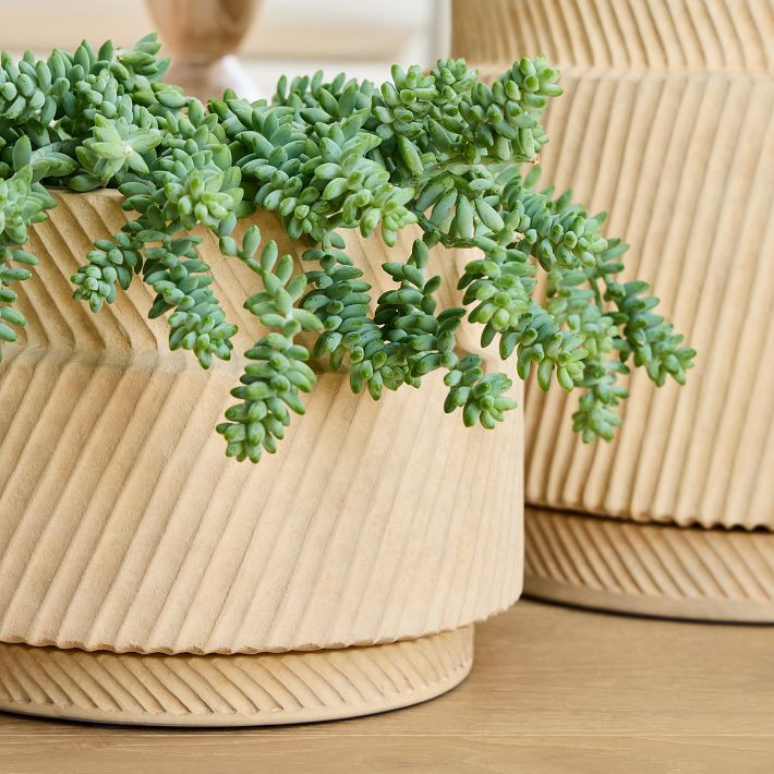 Asher Ceramic Planters | West Elm (US)