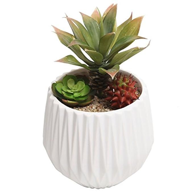 MyGift Modern Ceramic Planter, Small Round Garden Plant Container Pot, White | Amazon (US)