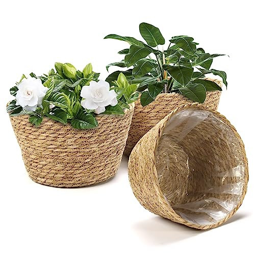 Athaliah Plant Basket Set of 3, Indoor Woven Planter Baskets with Plastic Liner, Water Hyacinth and Corn Husk Decorative Pots for Rustic Home & Floor Plant Decor (Natural Color-3) | Amazon (US)