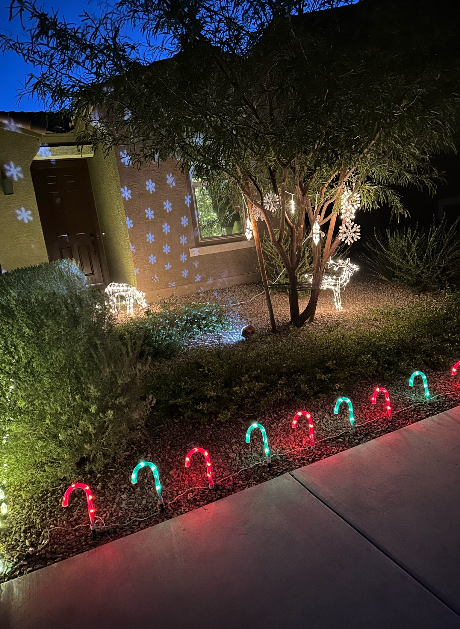 Christmas outdoor lights 

#LTKHoliday #LTKSeasonal