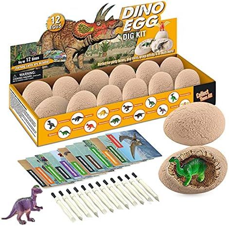 Morkka 12 Stück Dinosaurier Eier Party Supplies Spielzeug Spiele Fossilien Dino Eier Dig Kit Din... | Amazon (DE)