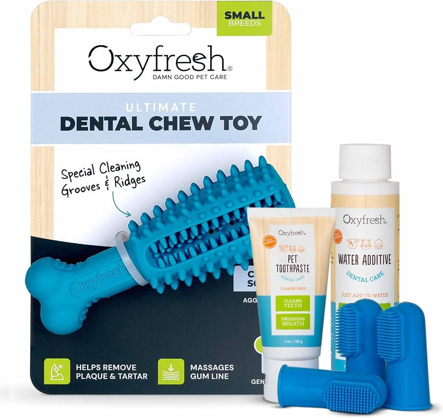 Oxyfresh Premium Small Pet Dental Kit and Small 100% Natural Rubber Dog Dental Chew Toy – The A... | Amazon (US)