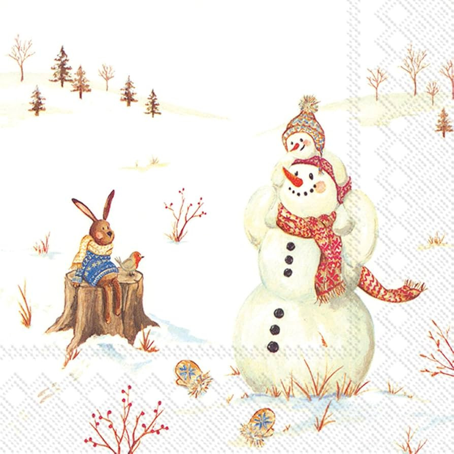 Boston International IHR 3-Ply Paper Napkins, 20-Count Lunch Size, Happy Winter Day | Amazon (US)