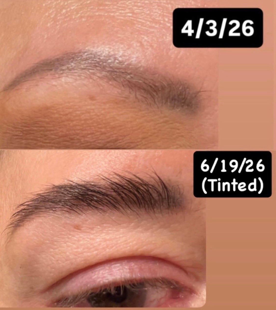 Brow serum and tint.