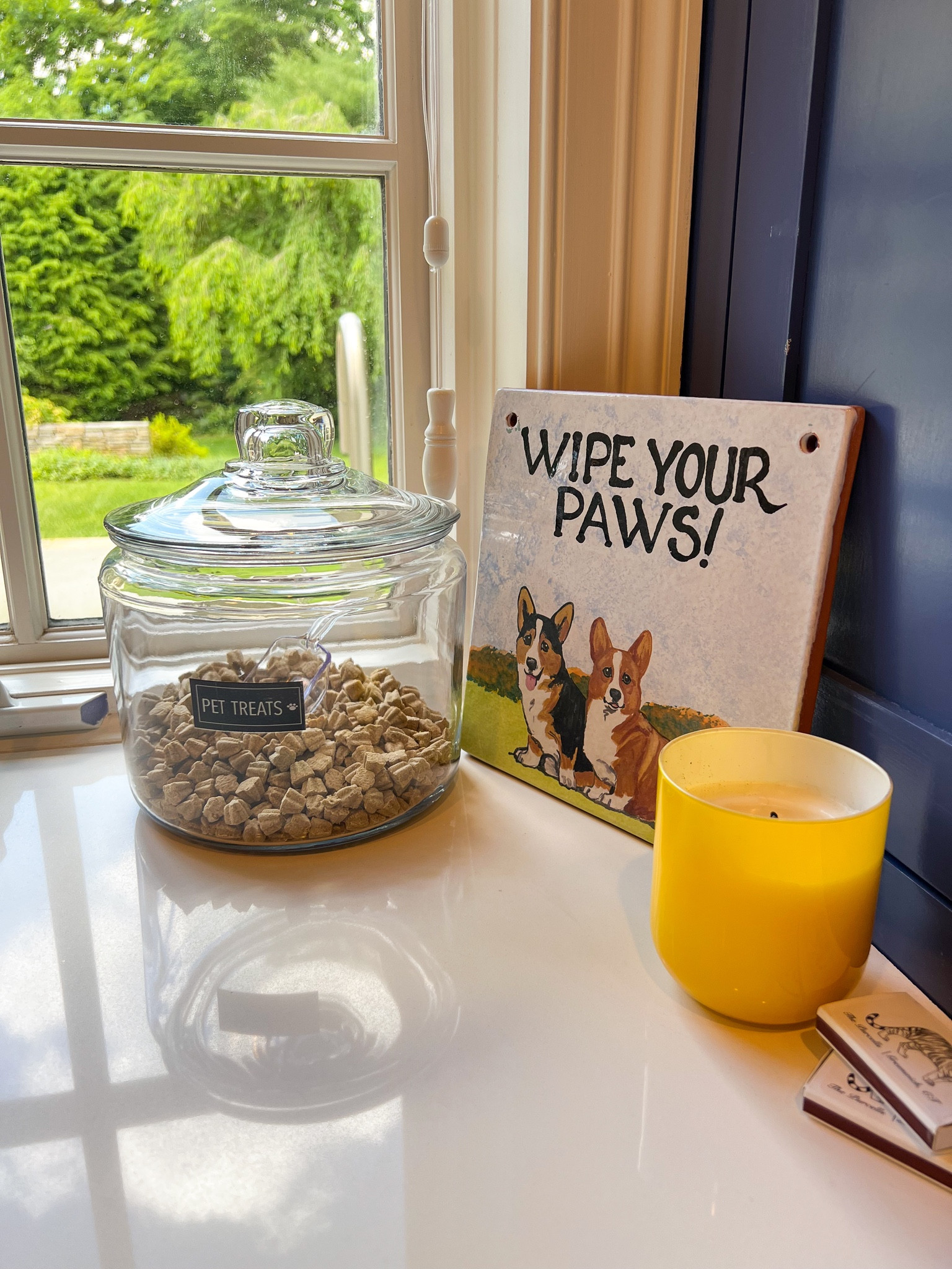 How lucky are these puppies? A nice canister for pet treats to keep the laundry room organized and looking good 👌✨

#LTKhome #LTKunder50