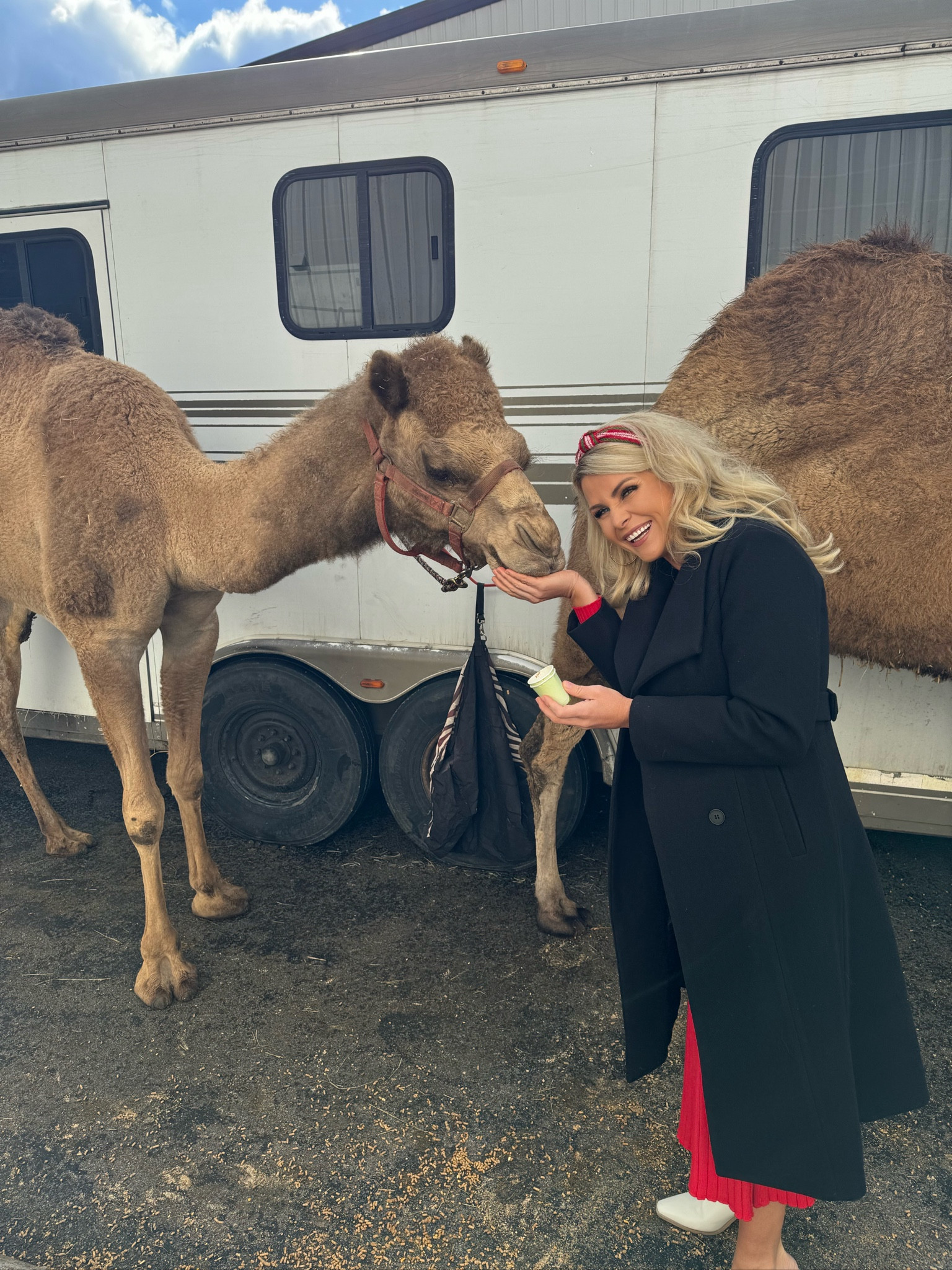 Camels and the warmest wool coat are what Christmas dreams are made of 😍. 


#LTKworkwear #LTKfindsunder100 #LTKHoliday