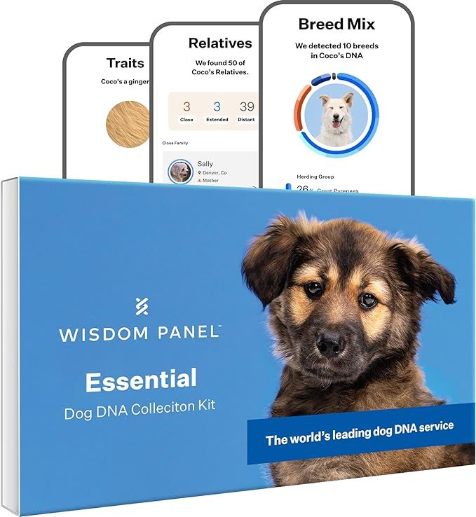 Wisdom Panel Essential: Most Accurate Dog DNA Test Kit for Breed ID and Ancestry | 25+ Genetic He... | Amazon (US)