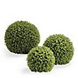 Boxwood Greenery Balls with UV Protection & LED Lights for Indoor/Outdoor Use | Frontgate