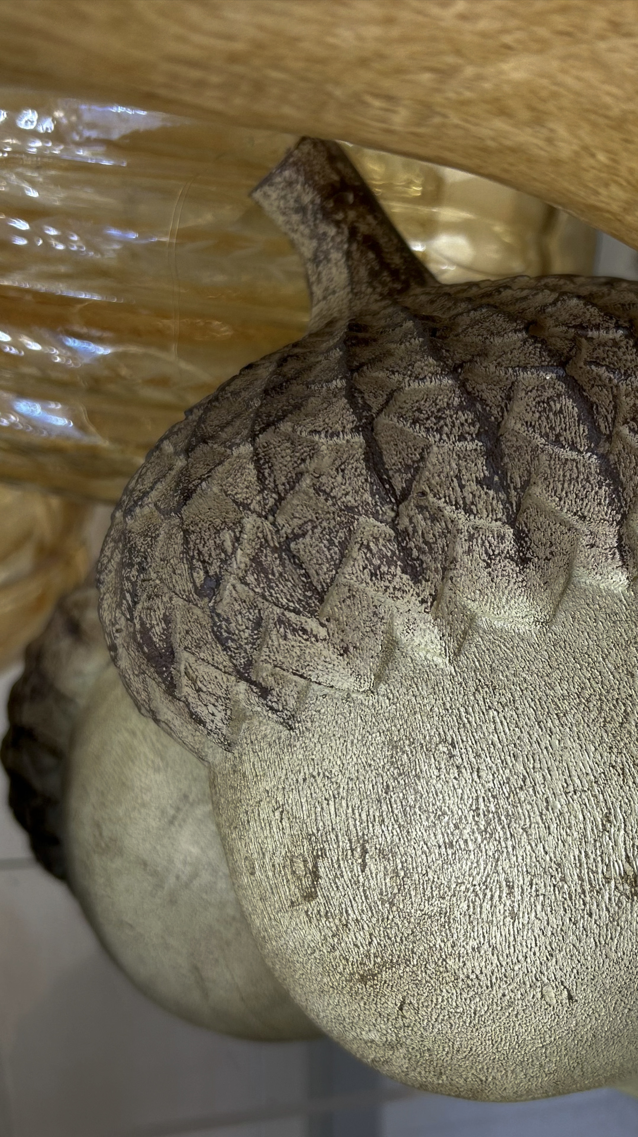 Fall Decor 

#ltkautumn

#LTKSeasonal #LTKHome #LTKFallSale