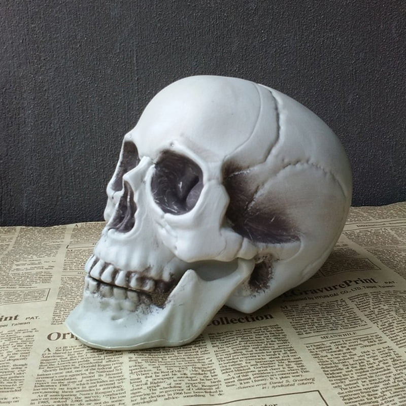 Halloween Artificial Skull Head Model Skull Bone Scary Horror Skeleton Ornament | Walmart (US)