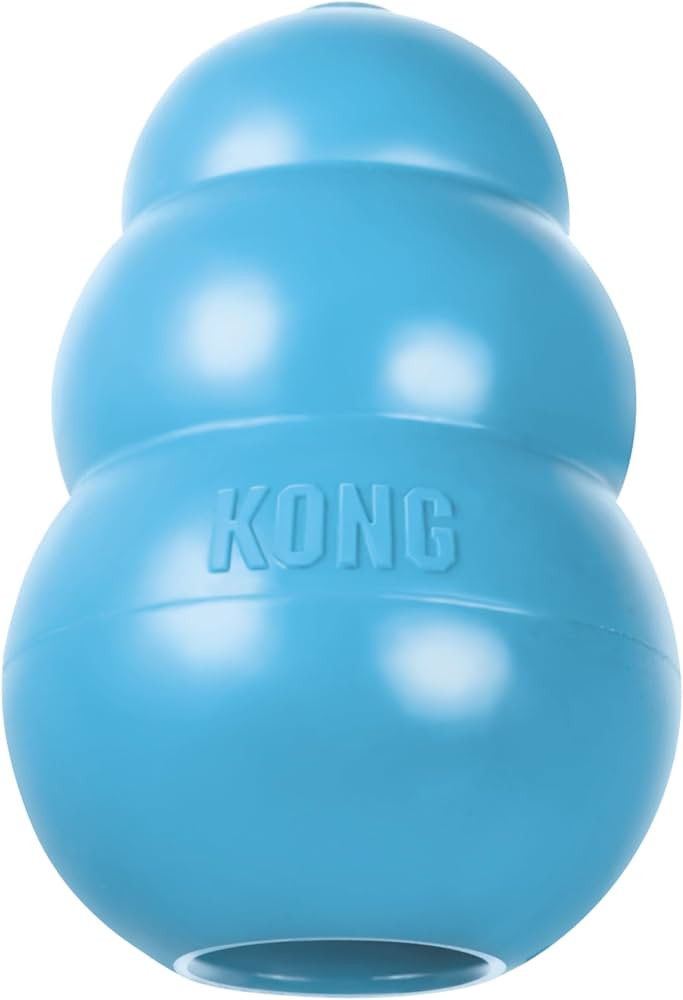 KONG Puppy, Natural Rubber Teething Chew Toy, for Small Puppies, Blue | Amazon (US)
