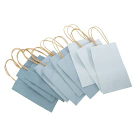 Small Blue Kraft Gift Bags 8.35in X
5.2in 10-Pack | Five Below