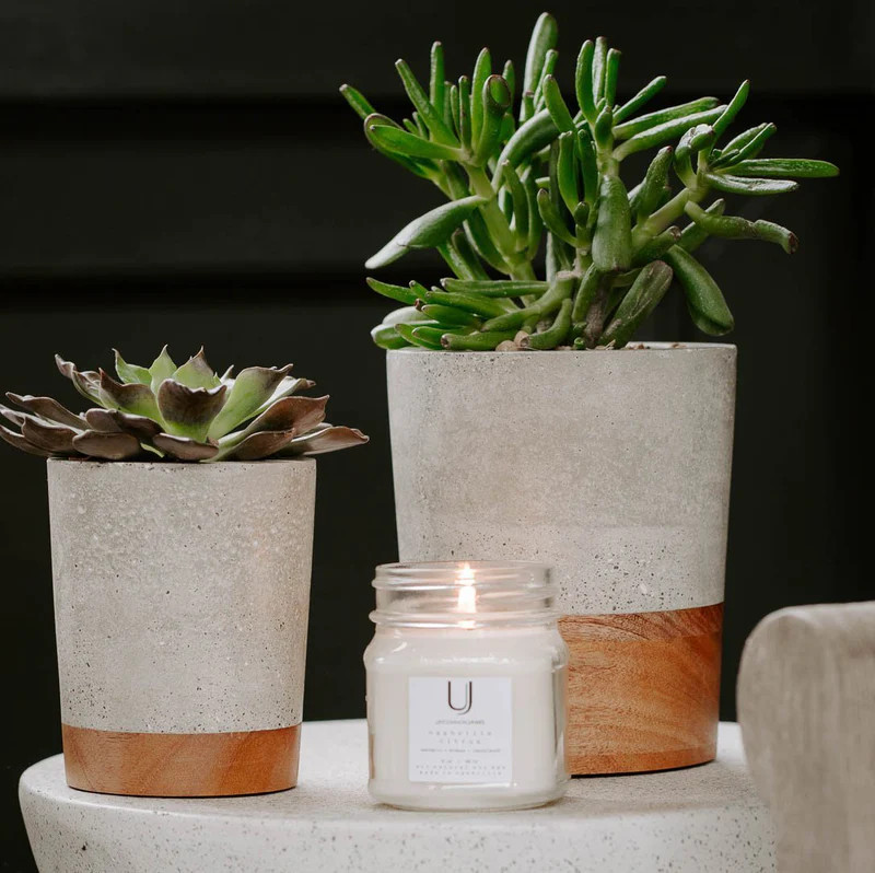 Bud | Small Planter | Uncommon James