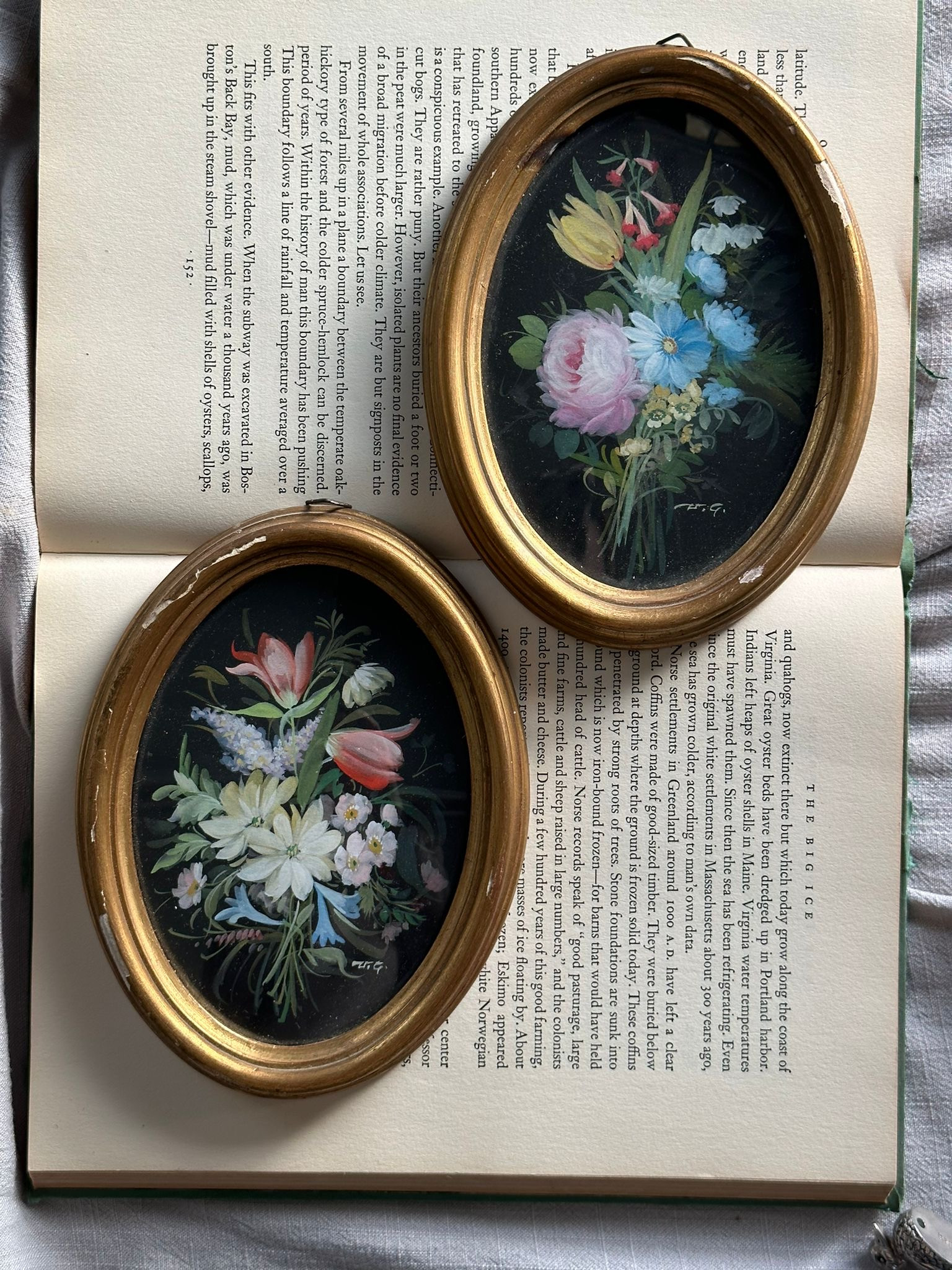 Pair of Oil Paintings | Vintage Keepers