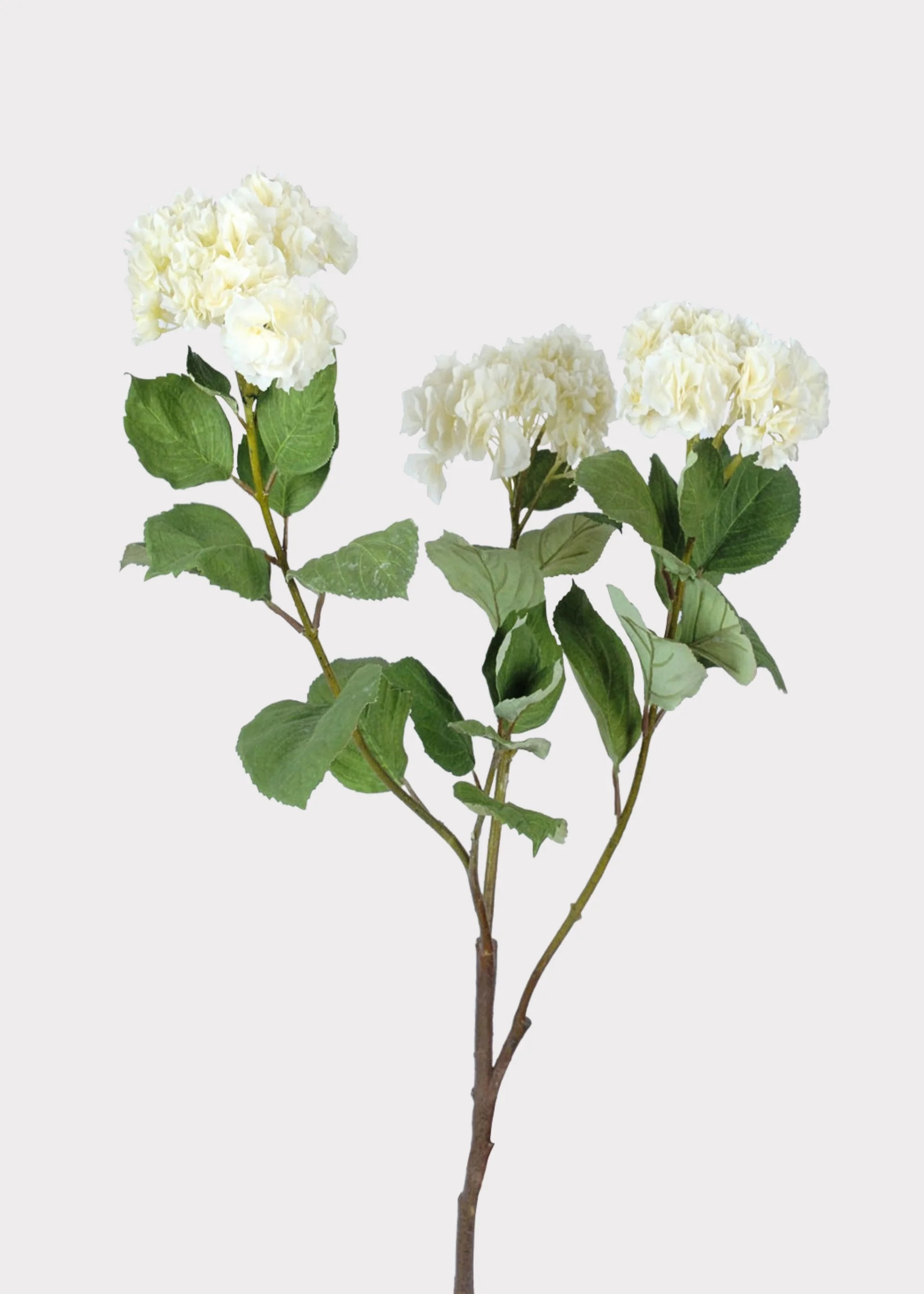 Cream Deluxe Hydrangea Branch | Lifelike Fake Flowers | Afloral | Afloral