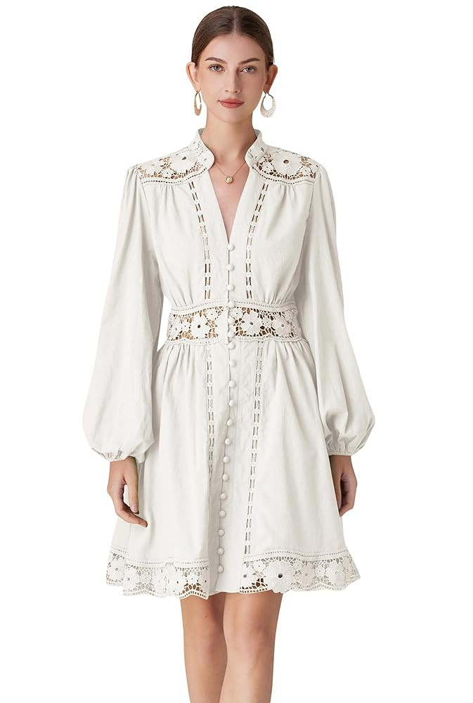 LAI MENG FIVE CATS Women's V-Neck Elegant Lace Long Sleeve Lantern Sleeve Button up Casual Mini D... | Amazon (US)